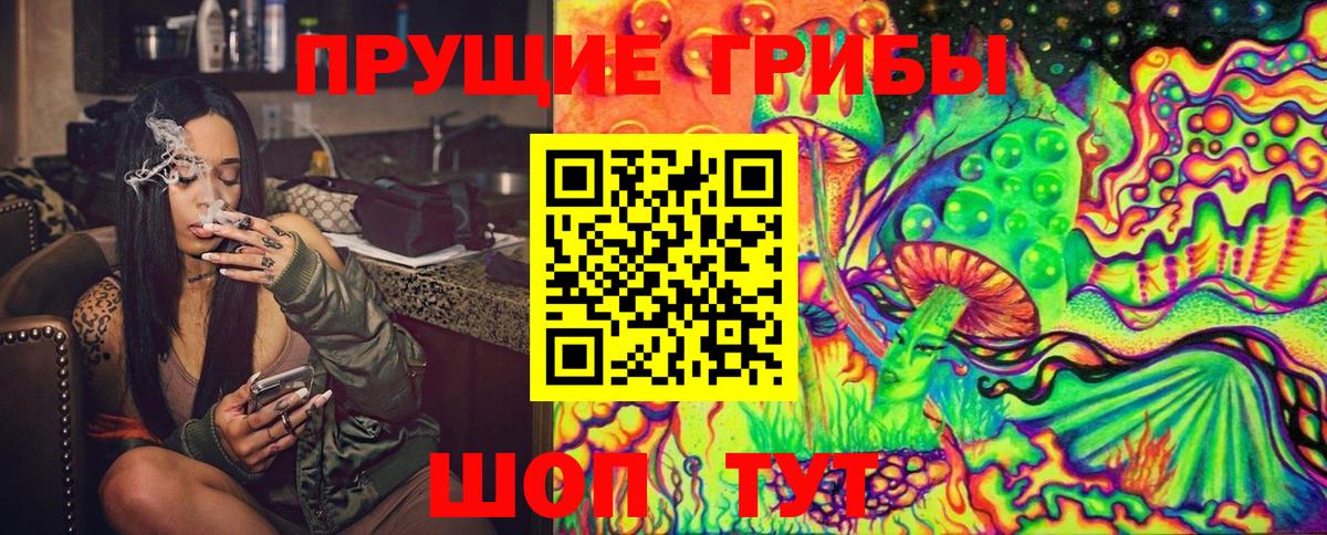 Галлюциногенные грибы Psilocybe Шебекино